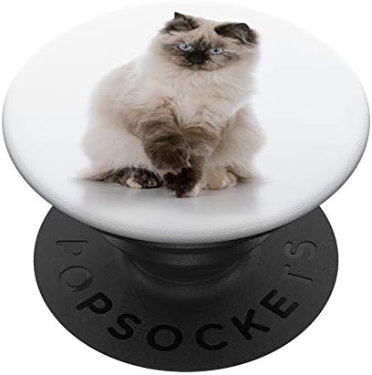Ragdoll Cat Popsockets Popgrip: Zamljivanje hvataljka za telefone i tablete