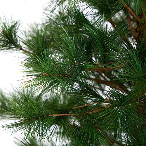 Skoro prirodna 4ft. Yukon miješano borovo umjetno božinsko drvo sa 366 savidljivih grana, zelena