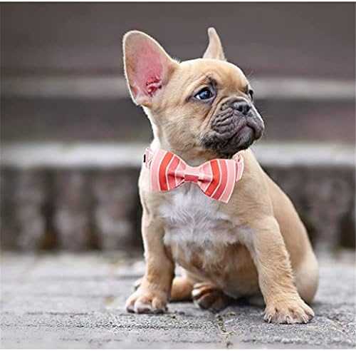 HFDGDFK Valentine Crveni ružičasti ovratnik sa lukom kravate ovratnik za kućne ljubimce za veliki srednji mali pas
