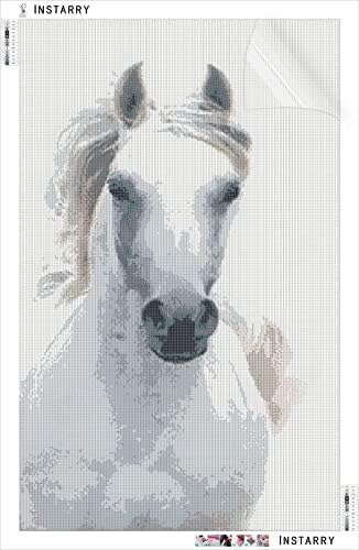Instarry DIY 5D Dijamantni setovi za slikanje pune bušilice bijeli konjski rhinestones vez za spajanje dnevnog boravka Kuhinjski zid