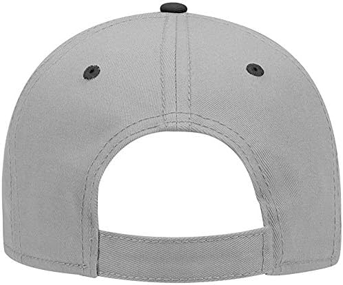 Ashen Fane 6 ploča Strukturirani niski profil Superior pamuk Twill Basic Baseball Hat