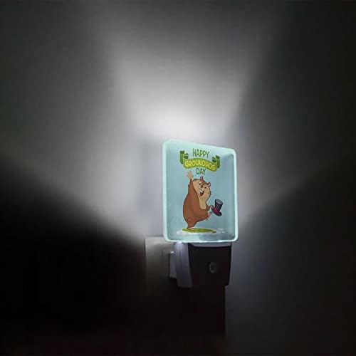Noćno svjetlo za djecu, sretan Dan mrmota proljeće slatka životinja LED noćno svjetlo Priključite se na zid sa svjetlosnim senzorima